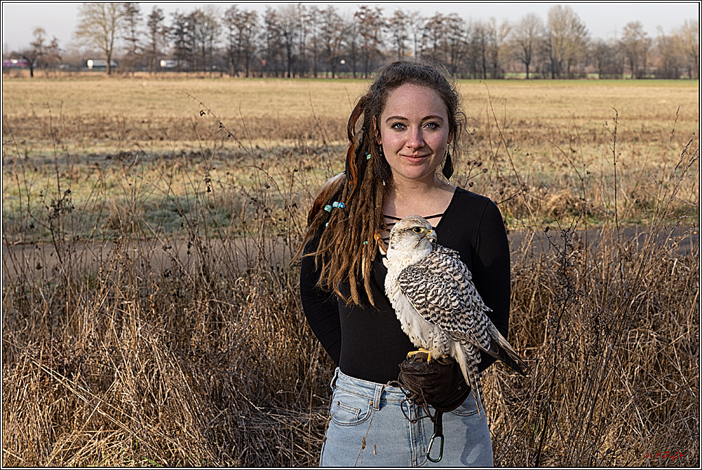 Cheyenne-Halbblut Hunting Wolf in der Falknerei Pierre Schmidt; Gymnich, 09.02.2023